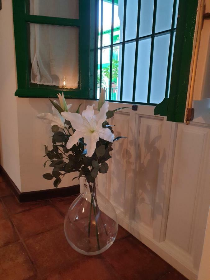 Apartamento Las Setas Sevilla Eksteriør bilde